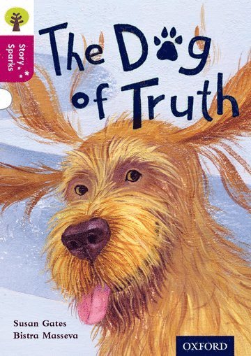 Oxford Reading Tree Story Sparks: Oxford Level 10: The Dog of Truth (hftad)