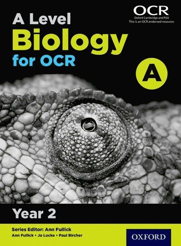 A Level Biology for OCR A: Year 2 (inbunden)