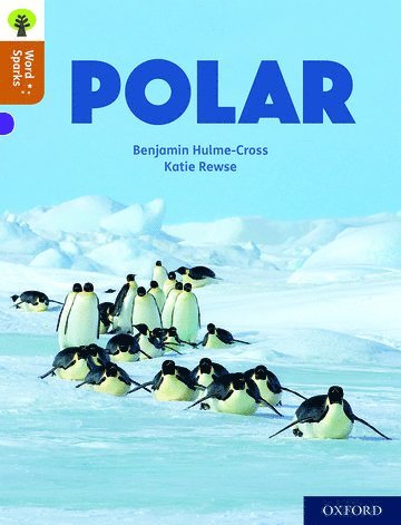 Oxford Reading Tree Word Sparks: Level 8: Polar (hftad)