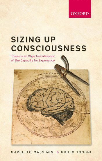 Sizing up Consciousness (häftad)