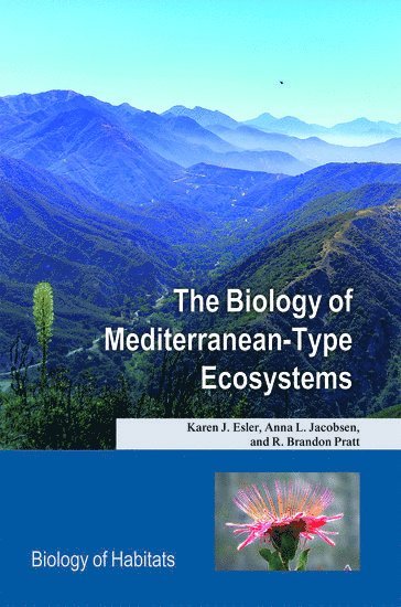 The Biology of Mediterranean-Type Ecosystems (inbunden)