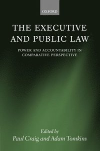 The Executive and Public Law (inbunden)