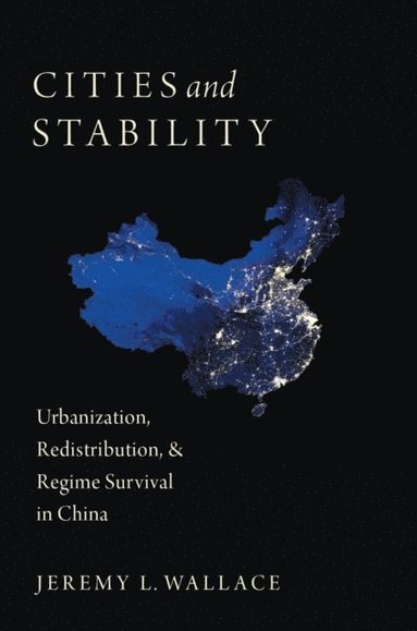 Cities and Stability (e-bok)