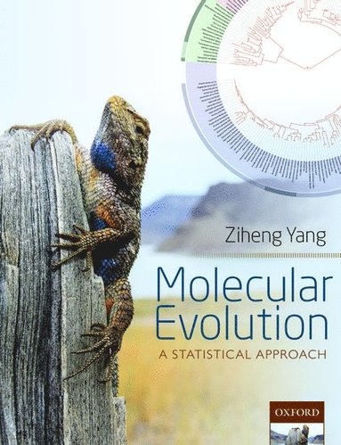 Molecular Evolution (häftad)
