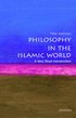 Philosophy in the Islamic World: A Very Short Introduction