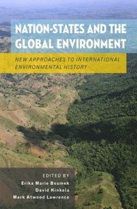 Nation-States and the Global Environment (e-bok)
