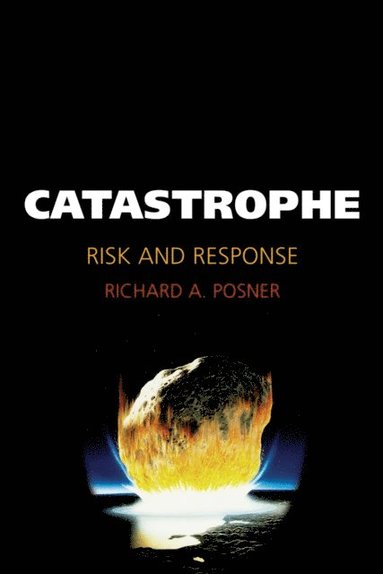 Catastrophe (e-bok)