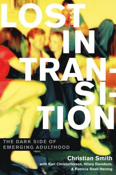 Lost in Transition (e-bok)