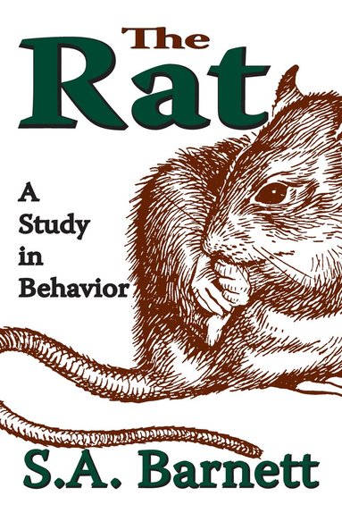 Rat (hftad)