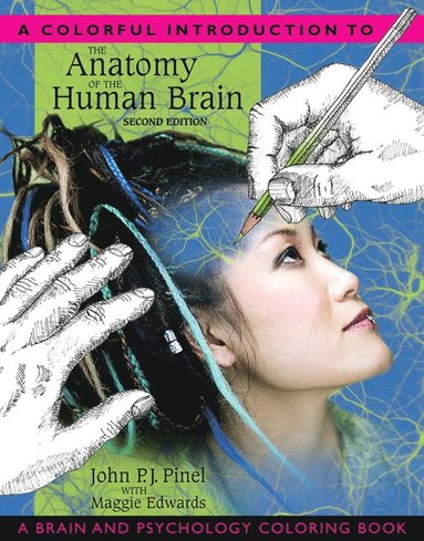 Colorful Introduction to the Anatomy of the Human Brain, A (häftad)