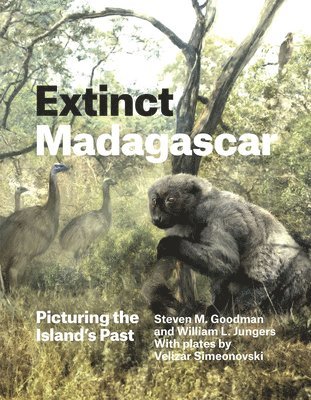 Extinct Madagascar (inbunden)