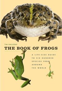 The Book of Frogs: A Life-Size Guide to Six Hundred Species from Around the World (inbunden)