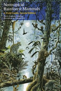 Neotropical Rainforest Mammals (hftad)