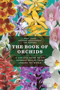 The Book of Orchids: A Life-Size Guide to Six Hundred Species from Around the World (inbunden)