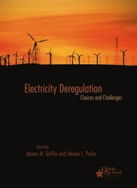 Electricity Deregulation (e-bok)