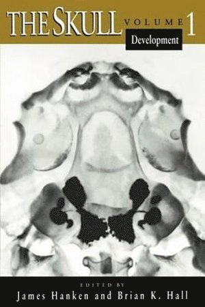 Skull (häftad)