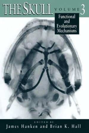 Skull (häftad)