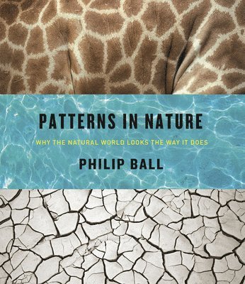 Patterns in Nature (hftad)