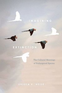 Imagining extinction : the cultural meanings of endangered species / Ursula K. Heise.