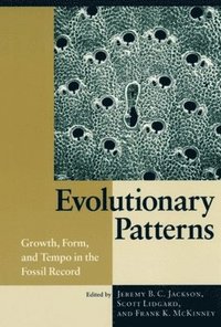 Evolutionary Patterns (häftad)