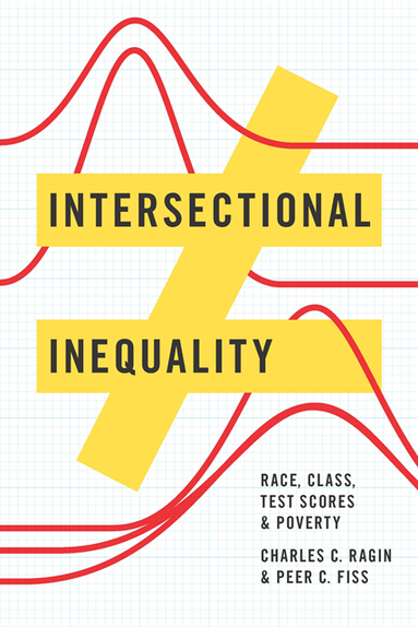 Intersectional Inequality (e-bok)