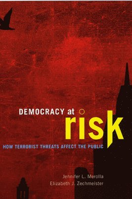 Democracy at Risk (inbunden)