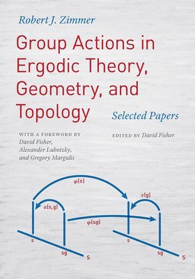 Group Actions in Ergodic Theory, Geometry, and Topology (inbunden)