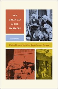 The Great Cat and Dog Massacre (hftad)