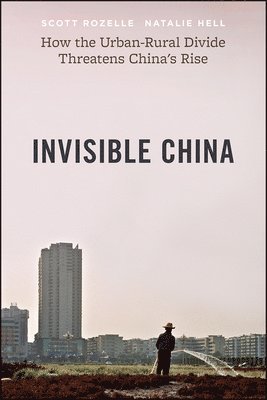 Invisible China (häftad)