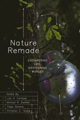 Nature Remade (inbunden)