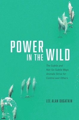 Power in the Wild (inbunden)
