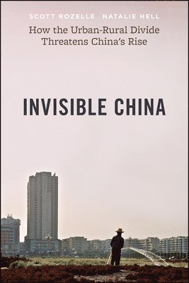 Invisible China (hftad)