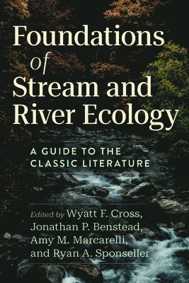 Foundations of Stream and River Ecology (häftad)