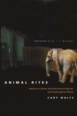 Animal Rites (häftad)