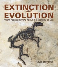 Extinction and Evolution (hftad)