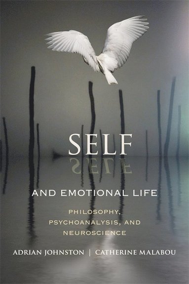 Self and Emotional Life (häftad)