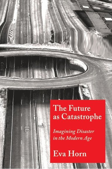Future as Catastrophe (häftad)