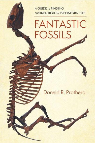Fantastic Fossils (h�ftad)