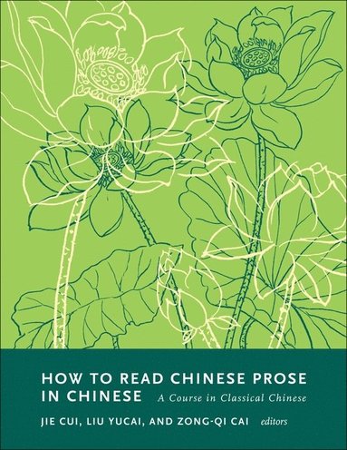 How to Read Chinese Prose in Chinese (inbunden)