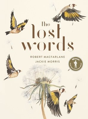 Lost Words (hftad)