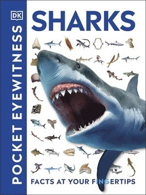 Pocket Eyewitness Sharks (hftad)