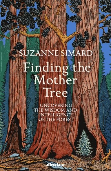 Finding the Mother Tree (hftad)