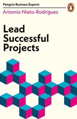 Lead Successful Projects (häftad)