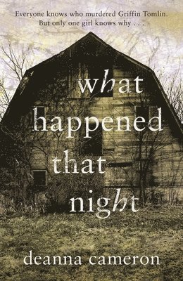 What Happened That Night (häftad)