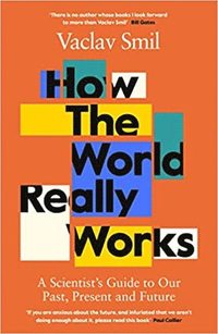 How The World Really Works (häftad)