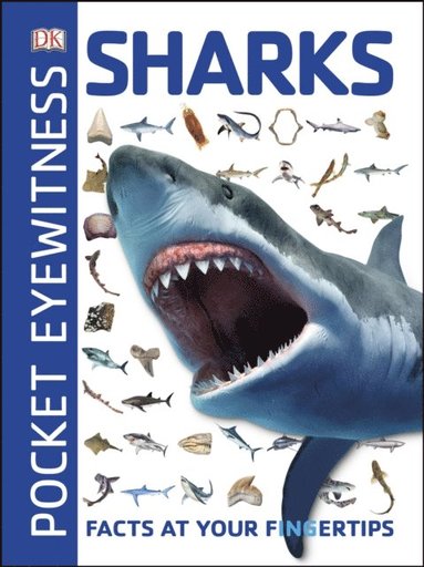 Pocket Eyewitness Sharks (hftad)