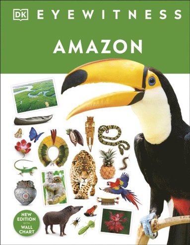 Amazon (häftad)
