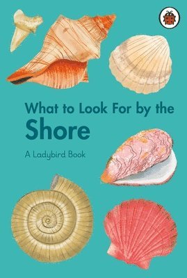 What to Look For by the Shore (inbunden)