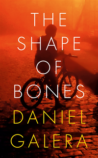 Shape of Bones (e-bok)