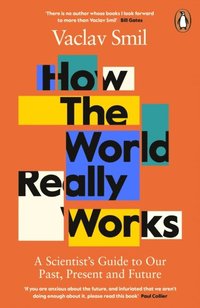 How the World Really Works (e-bok)